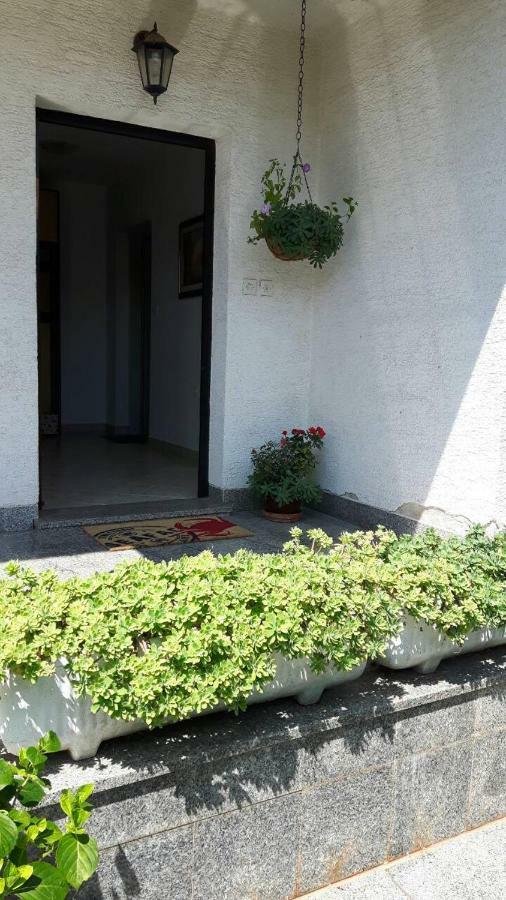 App Bajic Apartment Umag Exterior photo
